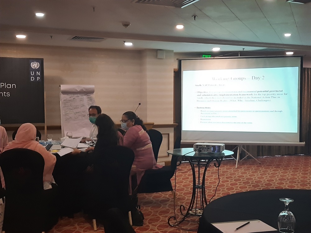 Consultation on developing a National Action Plan on Business and Human Rights in Pakistan by MoHR and UNDP