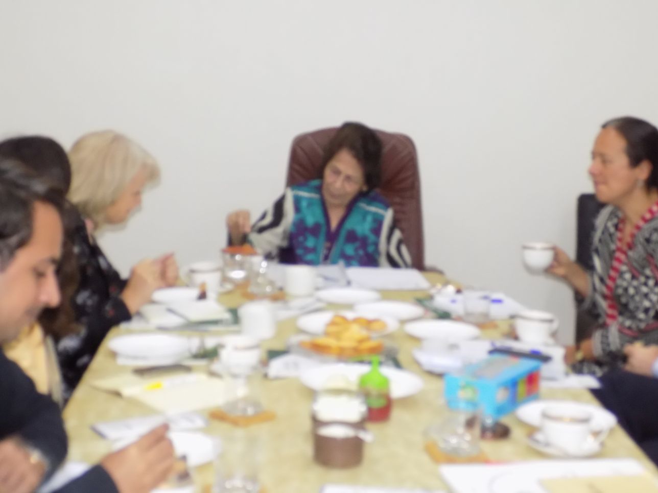 Meeting with Australian Delegation