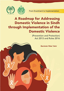 A Roadmap for Addressing Domestic Violence